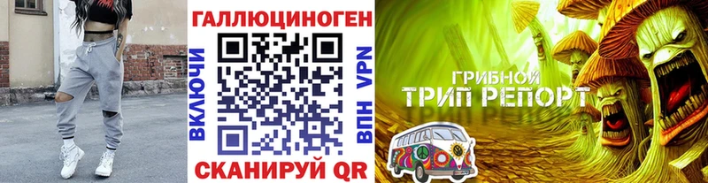 купить   Малоархангельск  Галлюциногенные грибы ЛСД 